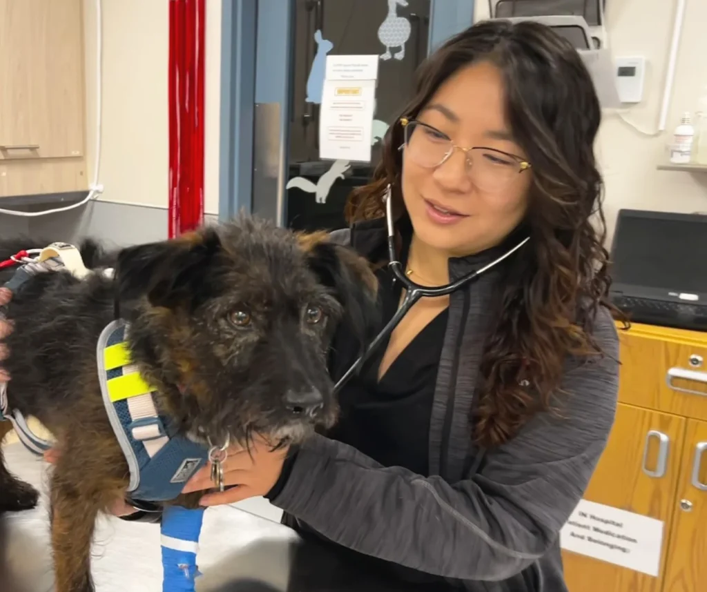 Creating an Engaging Article on 6137450123 6137450123